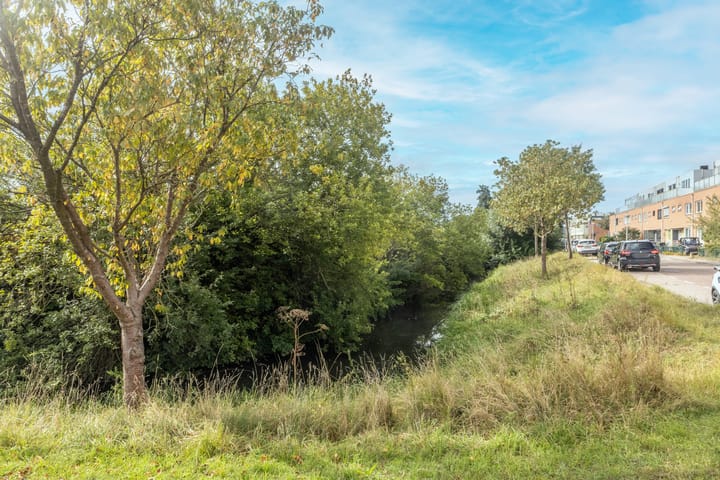 Foto 23 van Adamello 1