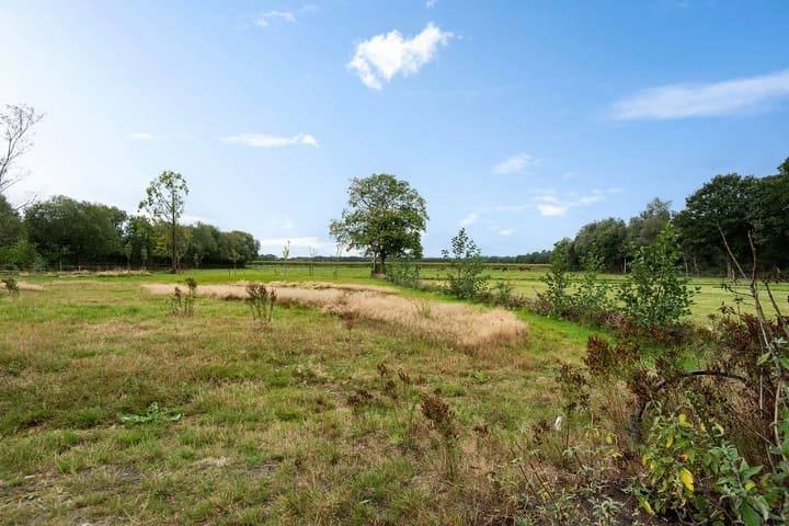 Photo 35 of Wateren 13-C