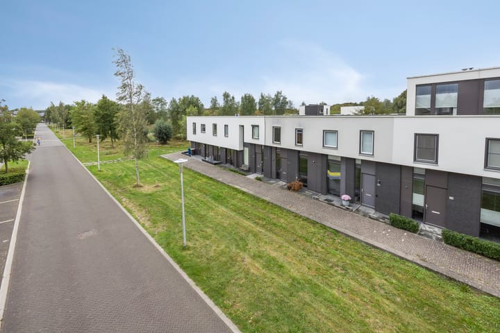 Foto 41 van Vuurvlinder 112