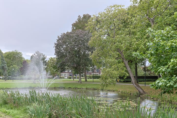 Foto 39 van Hedastraat 12