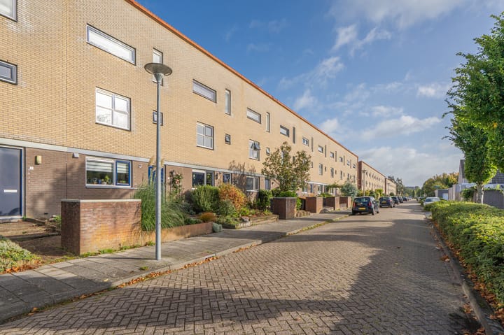 Foto 8 van Libelkleuven 7