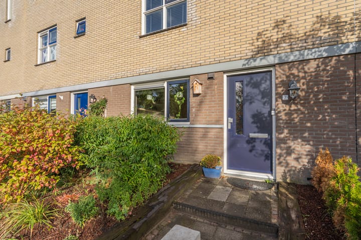 Foto 10 van Libelkleuven 7