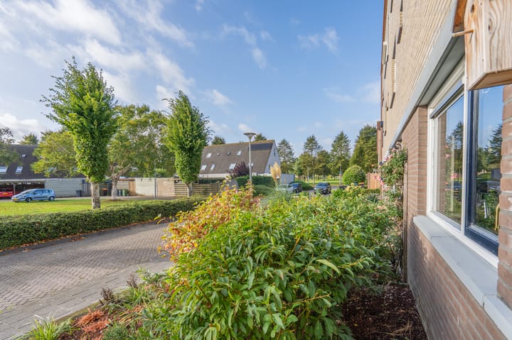 Foto 11 van Libelkleuven 7