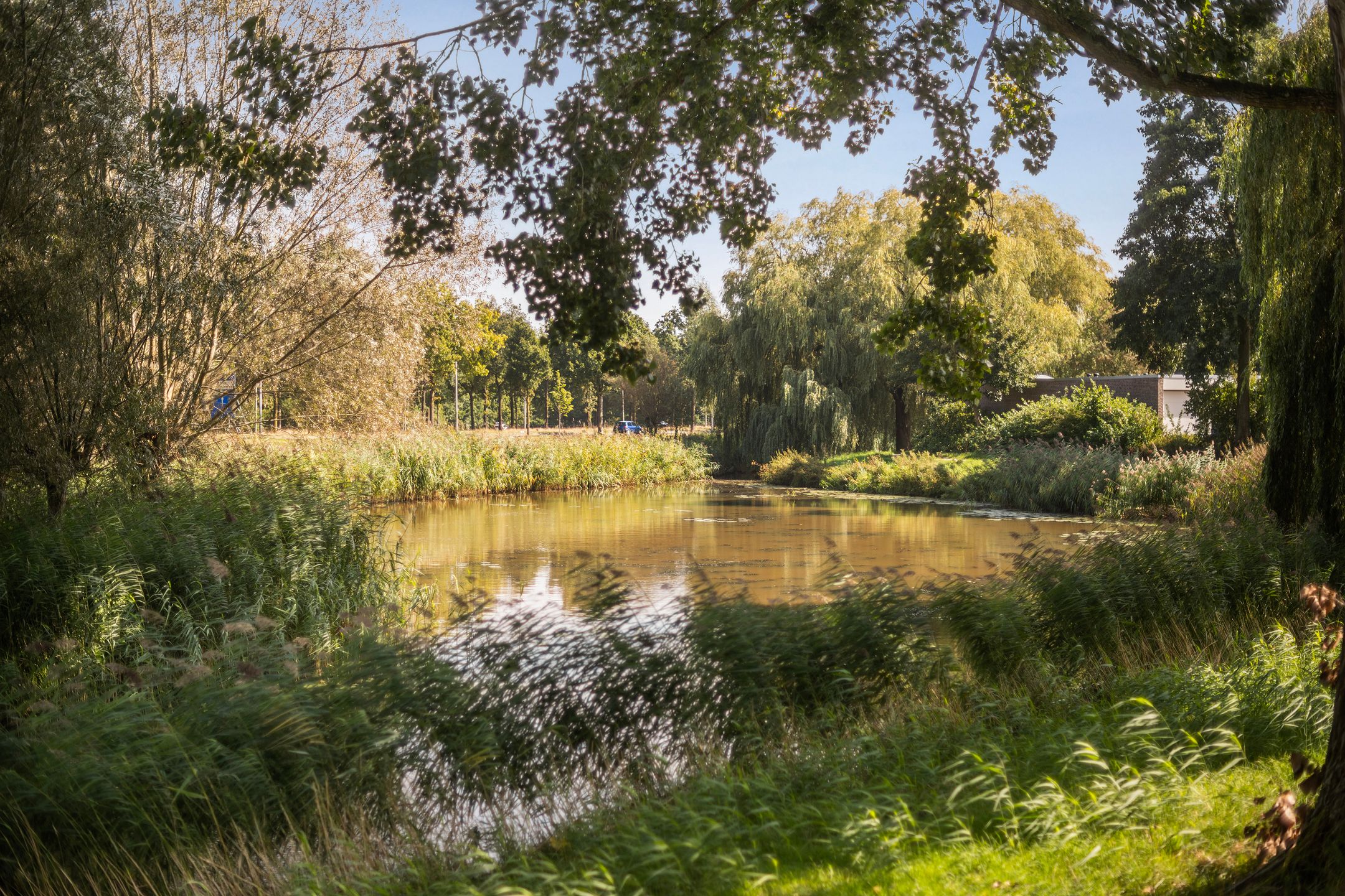 Foto 45 van Botlekhof 9