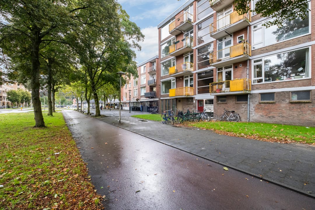 Foto 17 van Moezeldreef 311