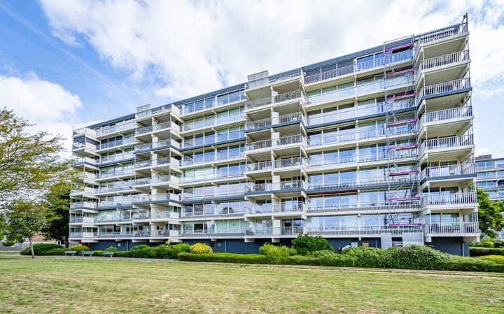 Foto 1 van Merellaan 245