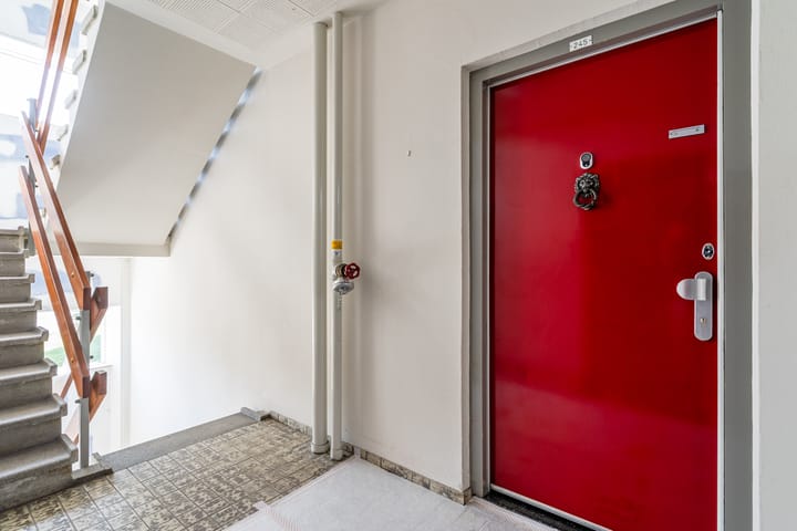 Foto 12 van Merellaan 245