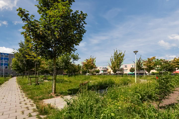 Foto 40 van Diepenbroekstraat 41