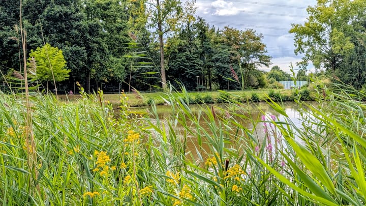 Foto 51 van Belgiëlaan 266