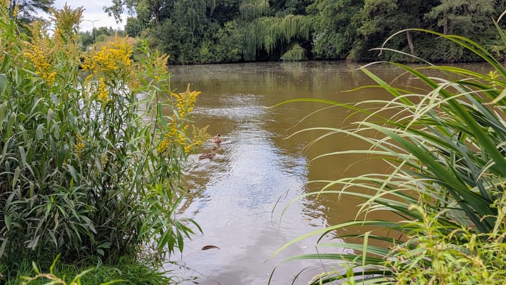 Foto 52 van Belgiëlaan 266