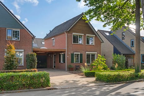 undefined main image