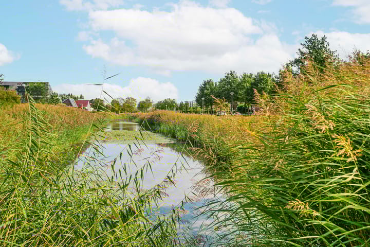 Foto 29 van Rentmeesterwaard 104