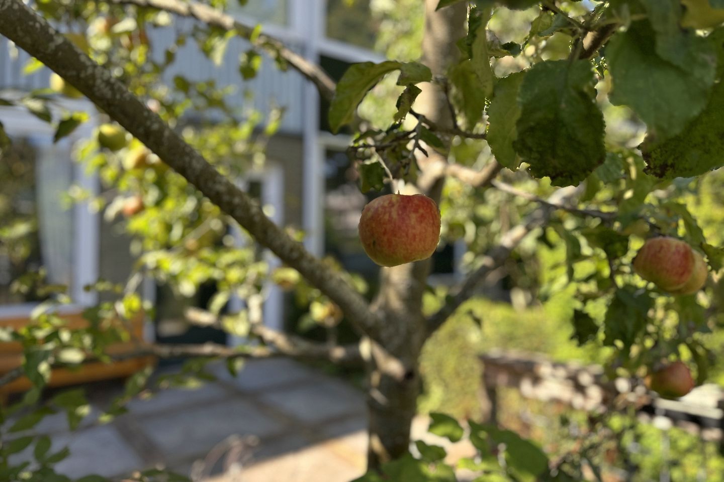 Foto 25 van John F Kennedylaan 49