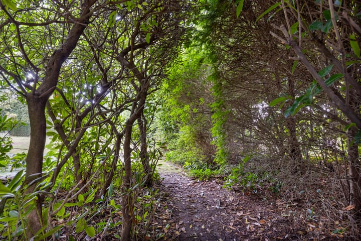 Photo 78 of Bredevoortsestraatweg 67