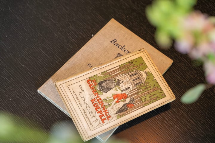 Photo 13 of Rust en Vreugdlaan 1-A