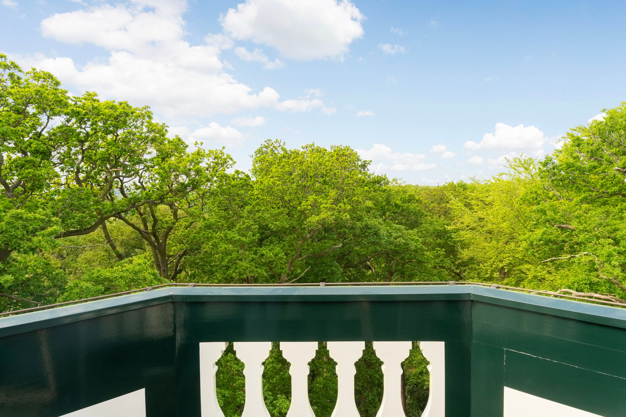 Foto 42 van Rust en Vreugdlaan 1-A