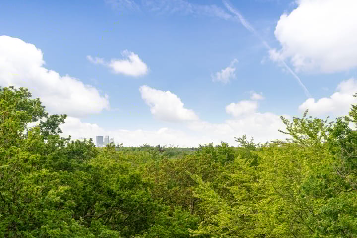 Photo 43 of Rust en Vreugdlaan 1-A