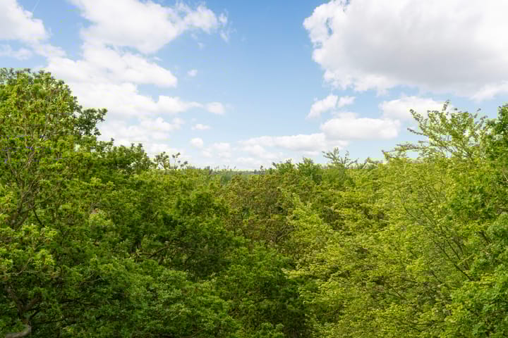 Photo 44 of Rust en Vreugdlaan 1-A