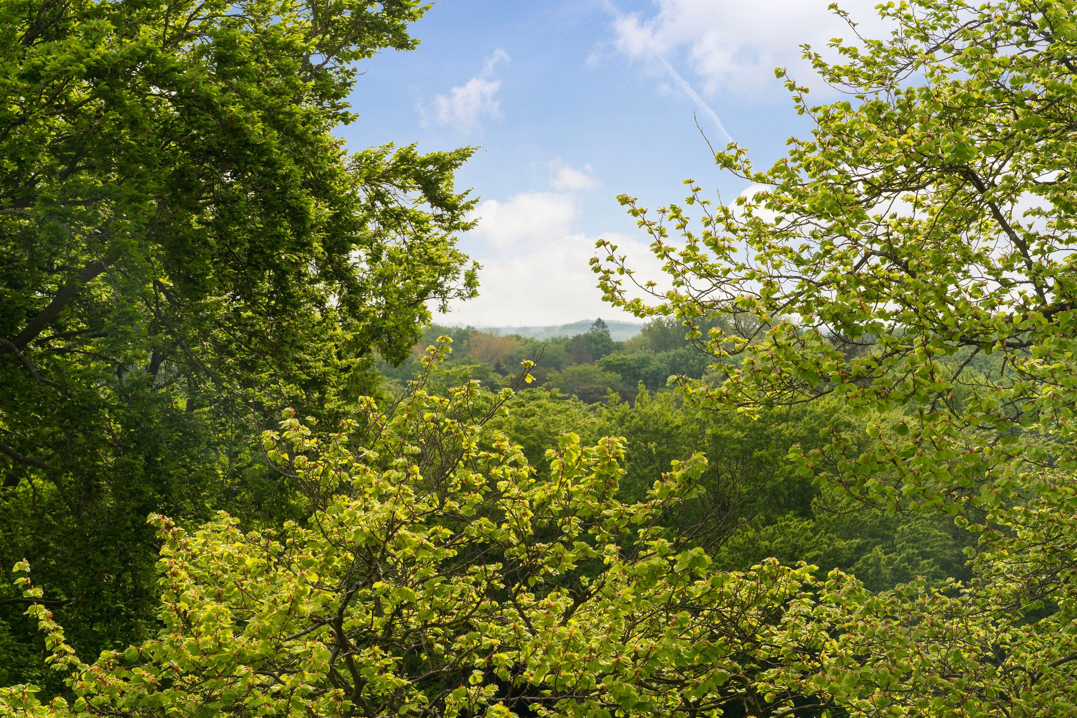 Foto 45 van Rust en Vreugdlaan 1-A