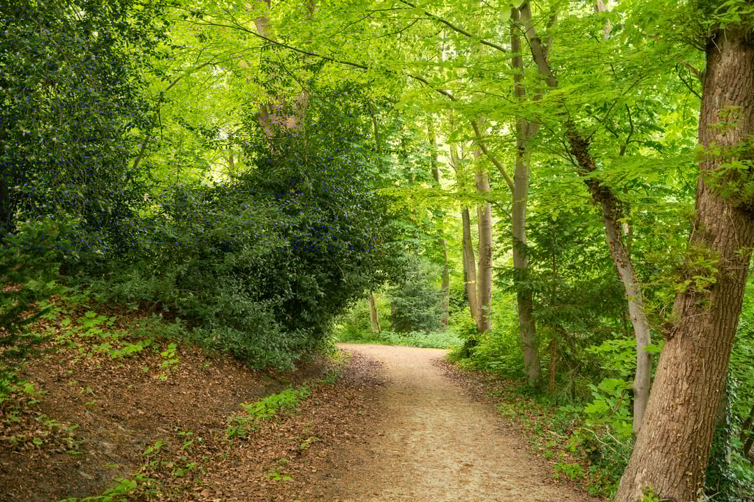 Foto 52 van Rust en Vreugdlaan 1-A