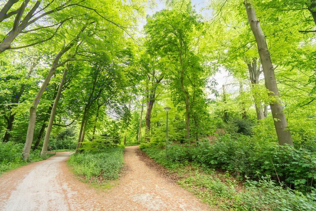 Foto 53 van Rust en Vreugdlaan 1-A