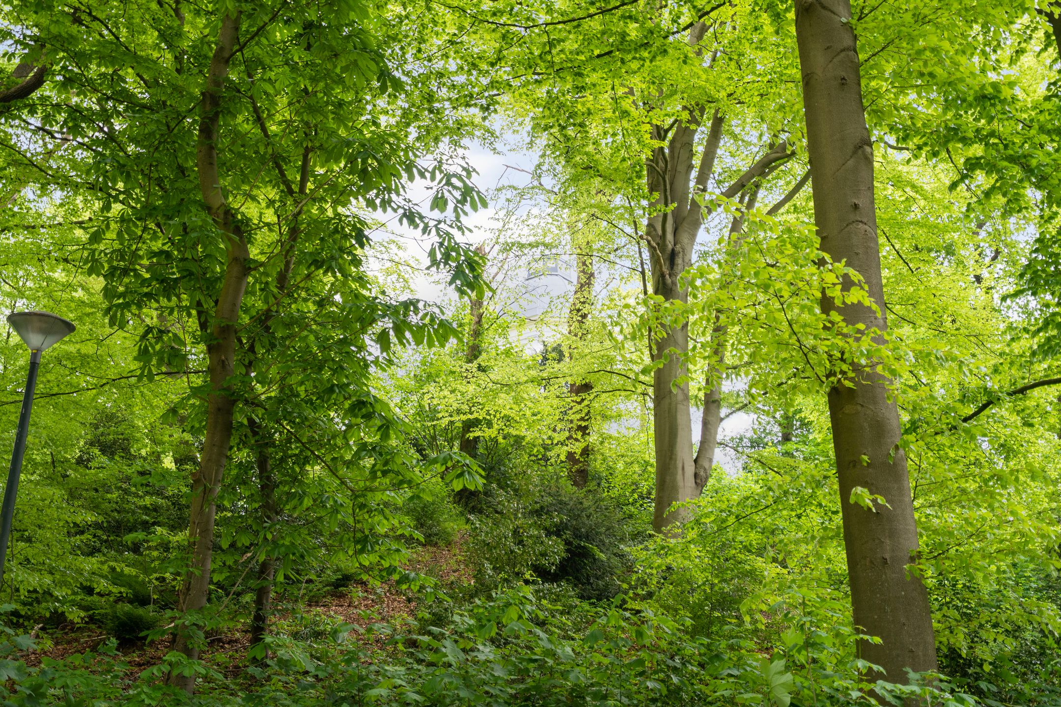 Foto 54 van Rust en Vreugdlaan 1-A