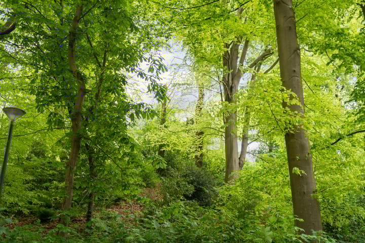 Photo 54 of Rust en Vreugdlaan 1-A