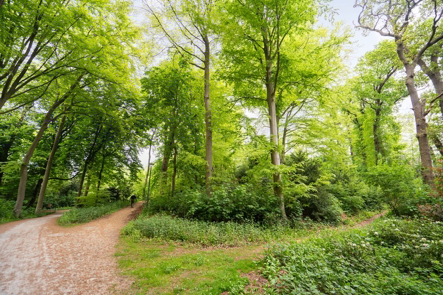 Foto 55 van Rust en Vreugdlaan 1-A