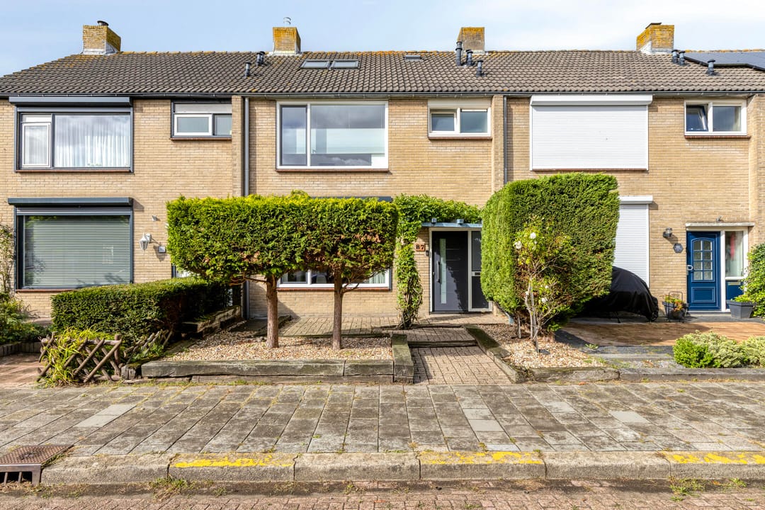 Foto 41 van Van Hallstraat 87