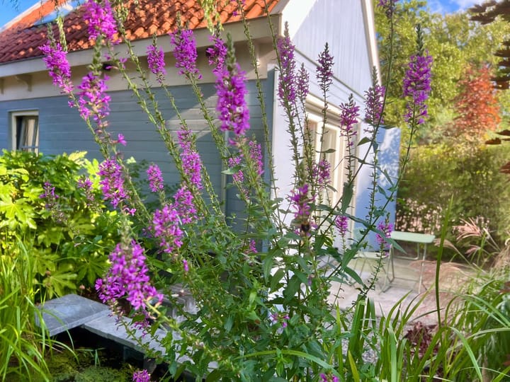 Foto 3 van Bavinkhof 2