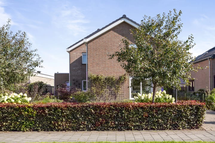 Foto 42 van De Omloop 15