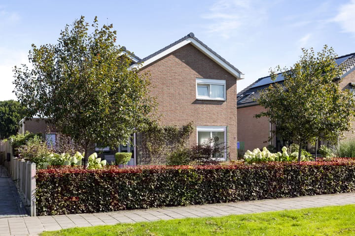 Foto 43 van De Omloop 15