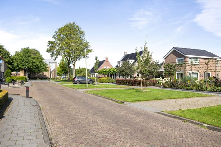 Foto 45 van De Omloop 15