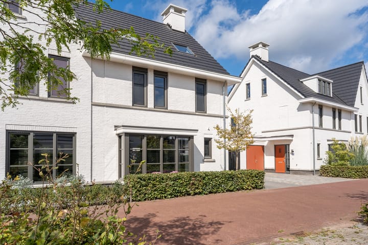 Foto 38 van Daan van Dijkhof 14