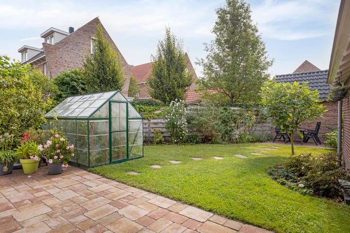 Foto 15 van Malta 36