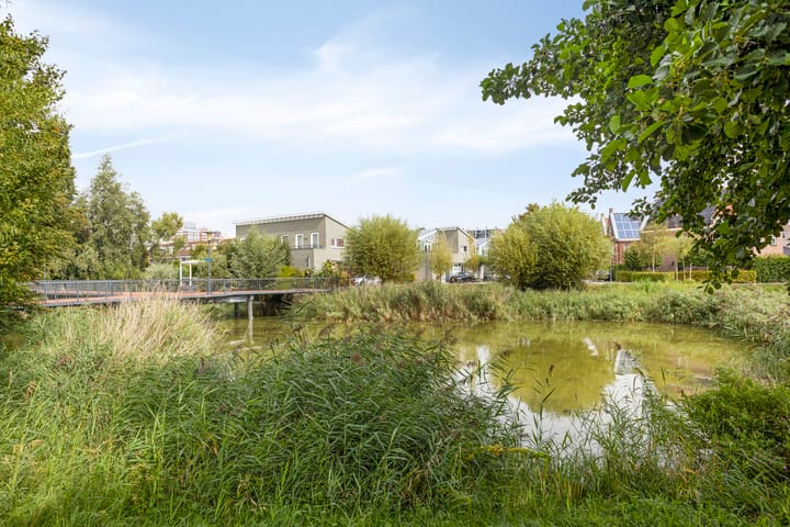 Foto 39 van Malta 36