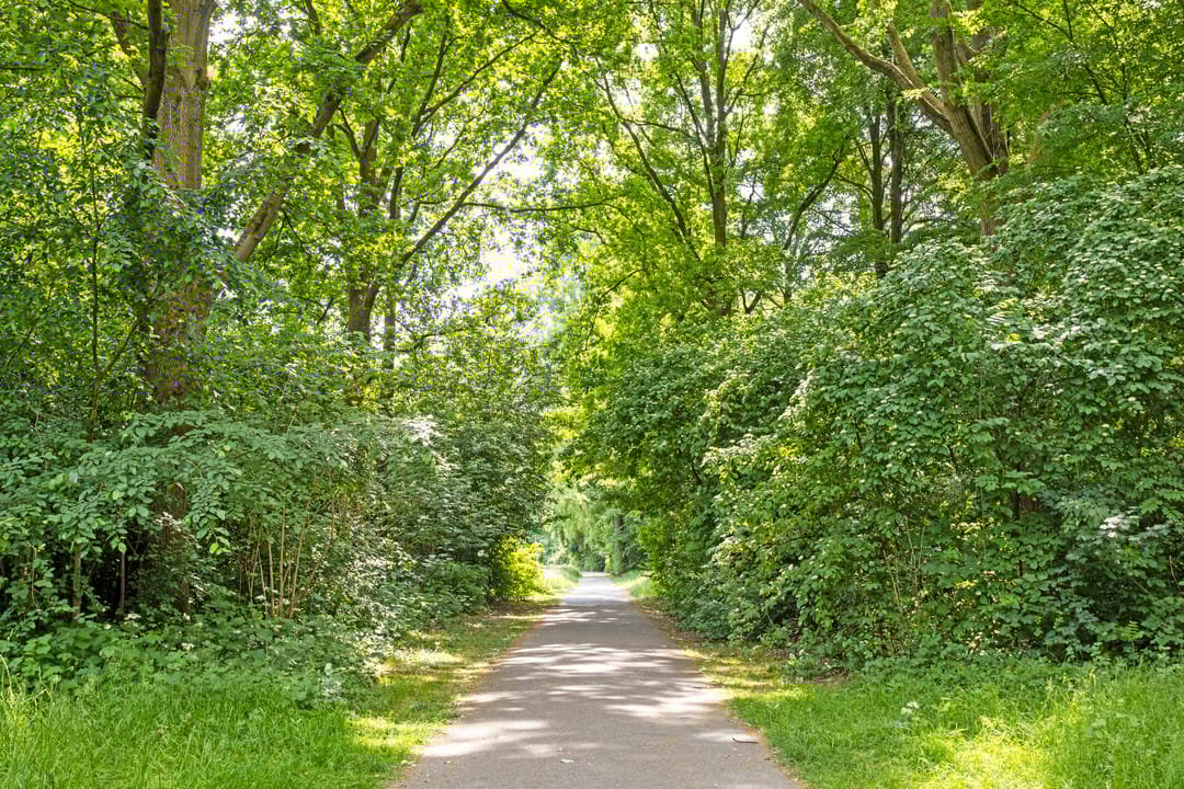 Foto 26 van Baarle Hertoglaan 65