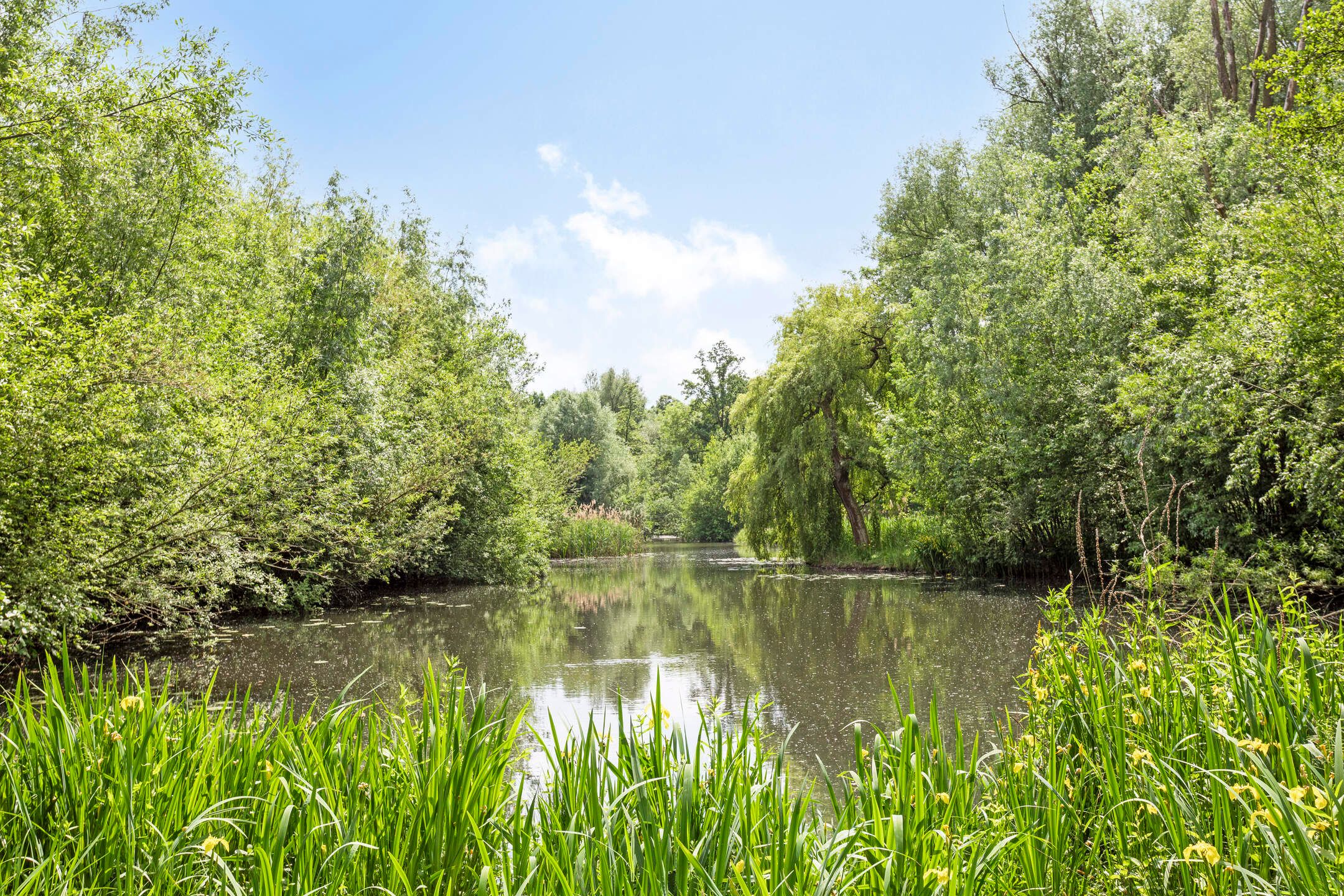 Foto 27 van Baarle Hertoglaan 65