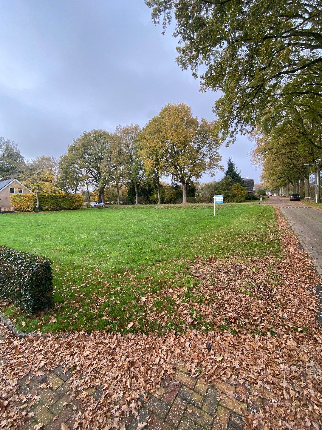 Foto 2 van Molenlaan