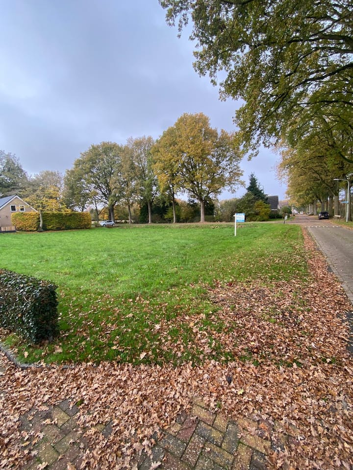 Foto 2 van Molenlaan