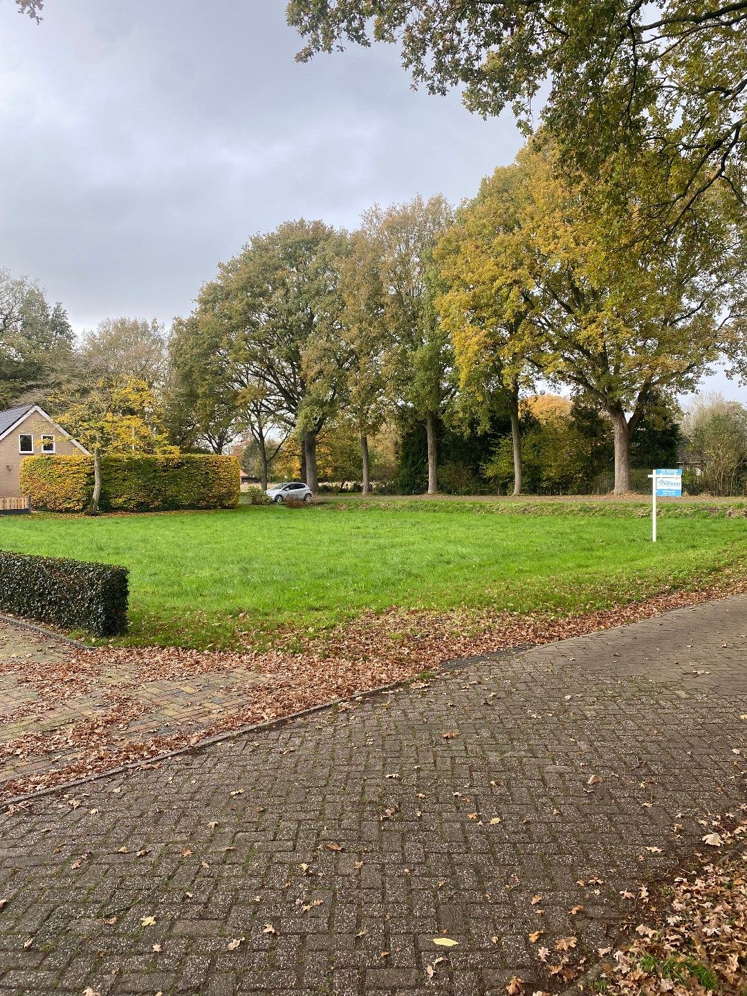 Foto 3 van Molenlaan