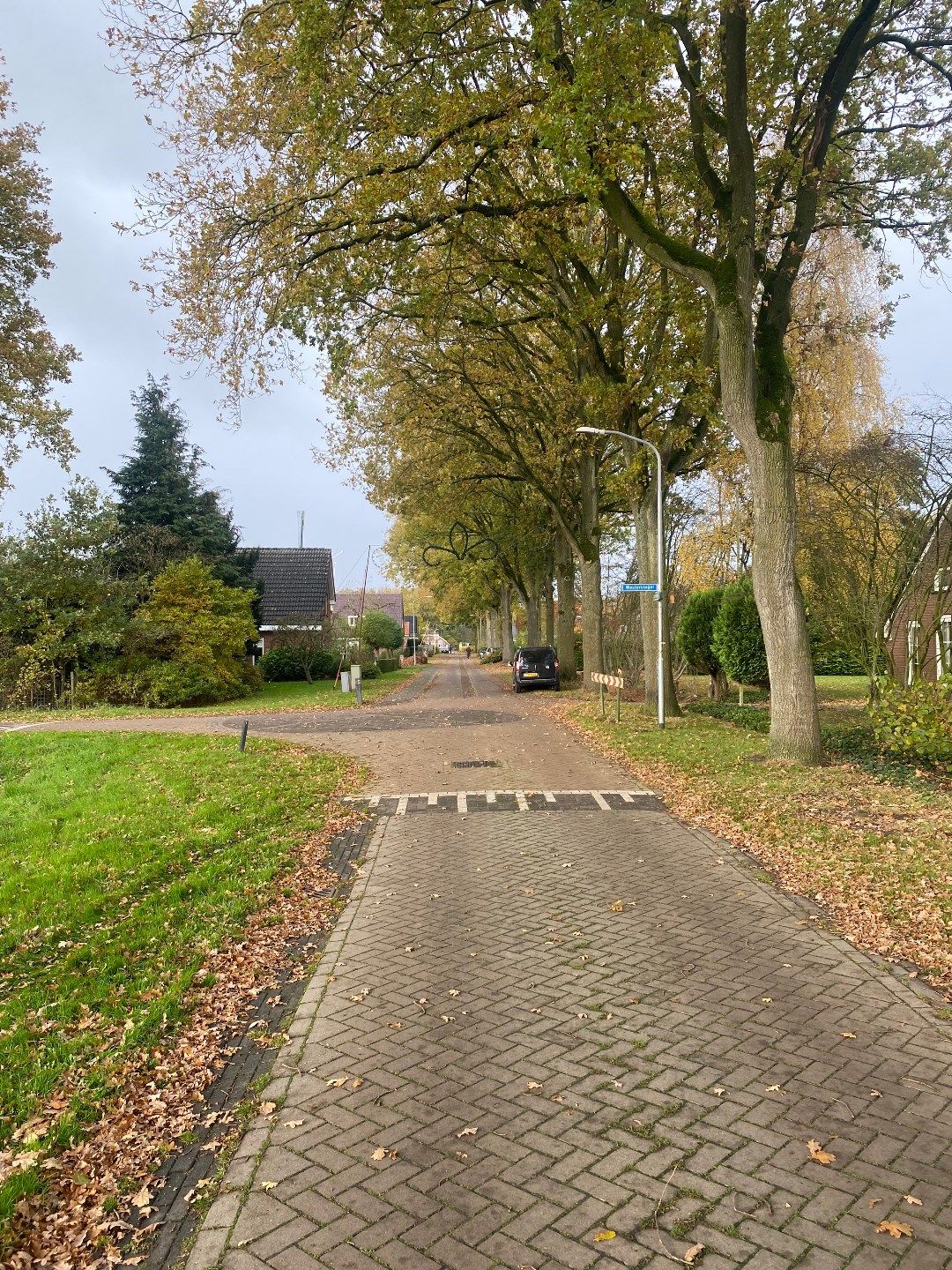 Foto 5 van Molenlaan