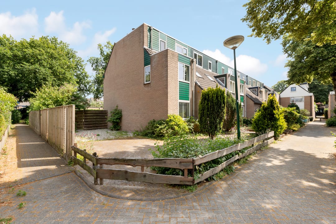 Photo 1 of Zwanebloem 7