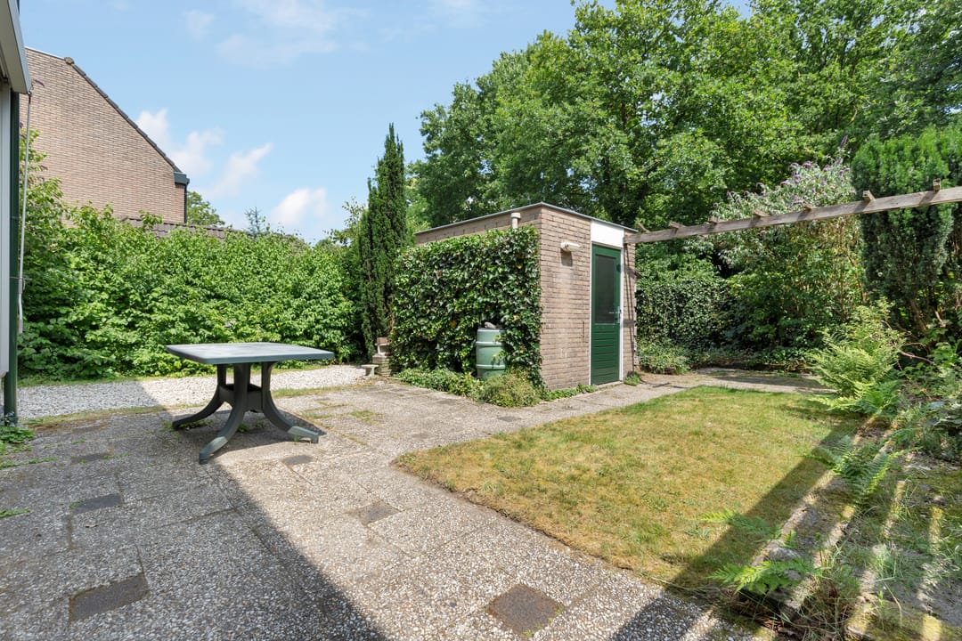 Photo 32 of Zwanebloem 7
