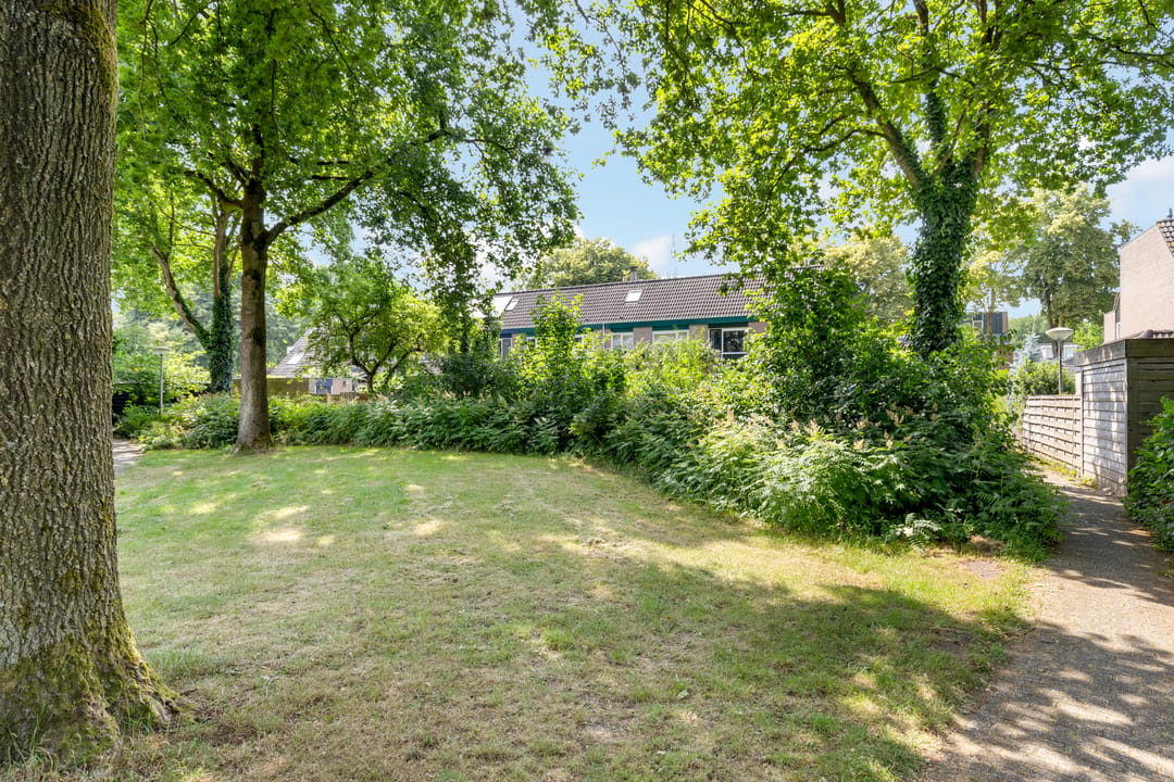 Photo 37 of Zwanebloem 7