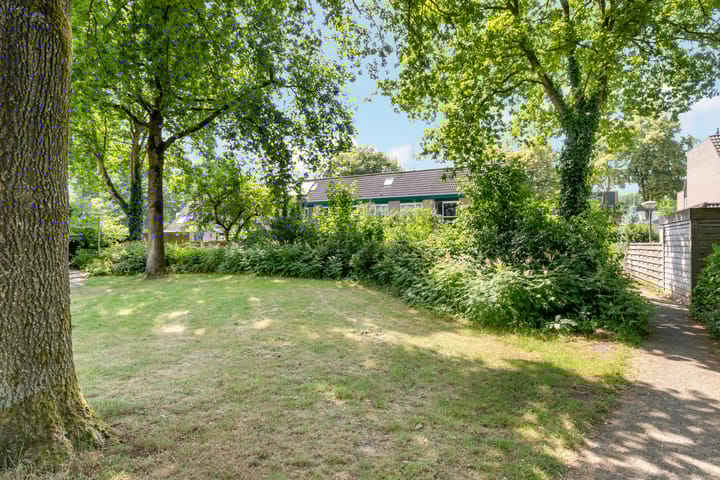 Foto 37 van Zwanebloem 7