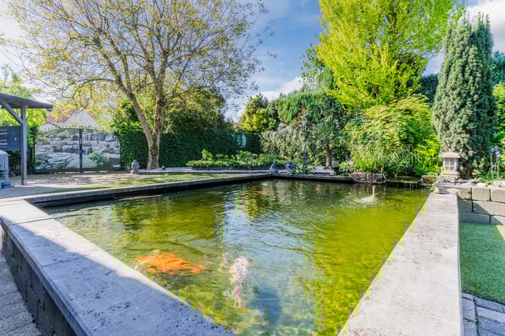 Photo 59 of Roompot 25