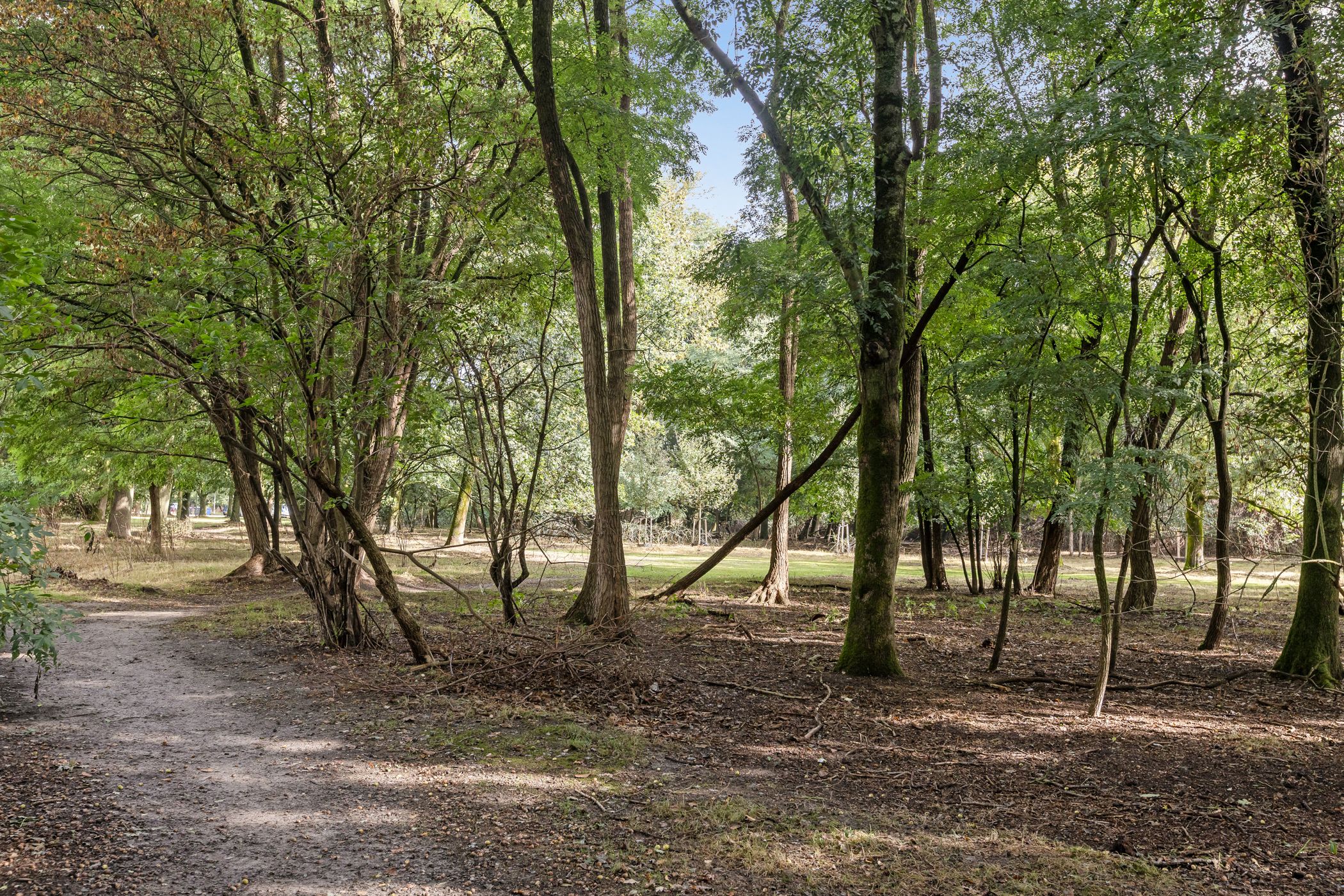 Photo 69 of Rustenburgerweg 41