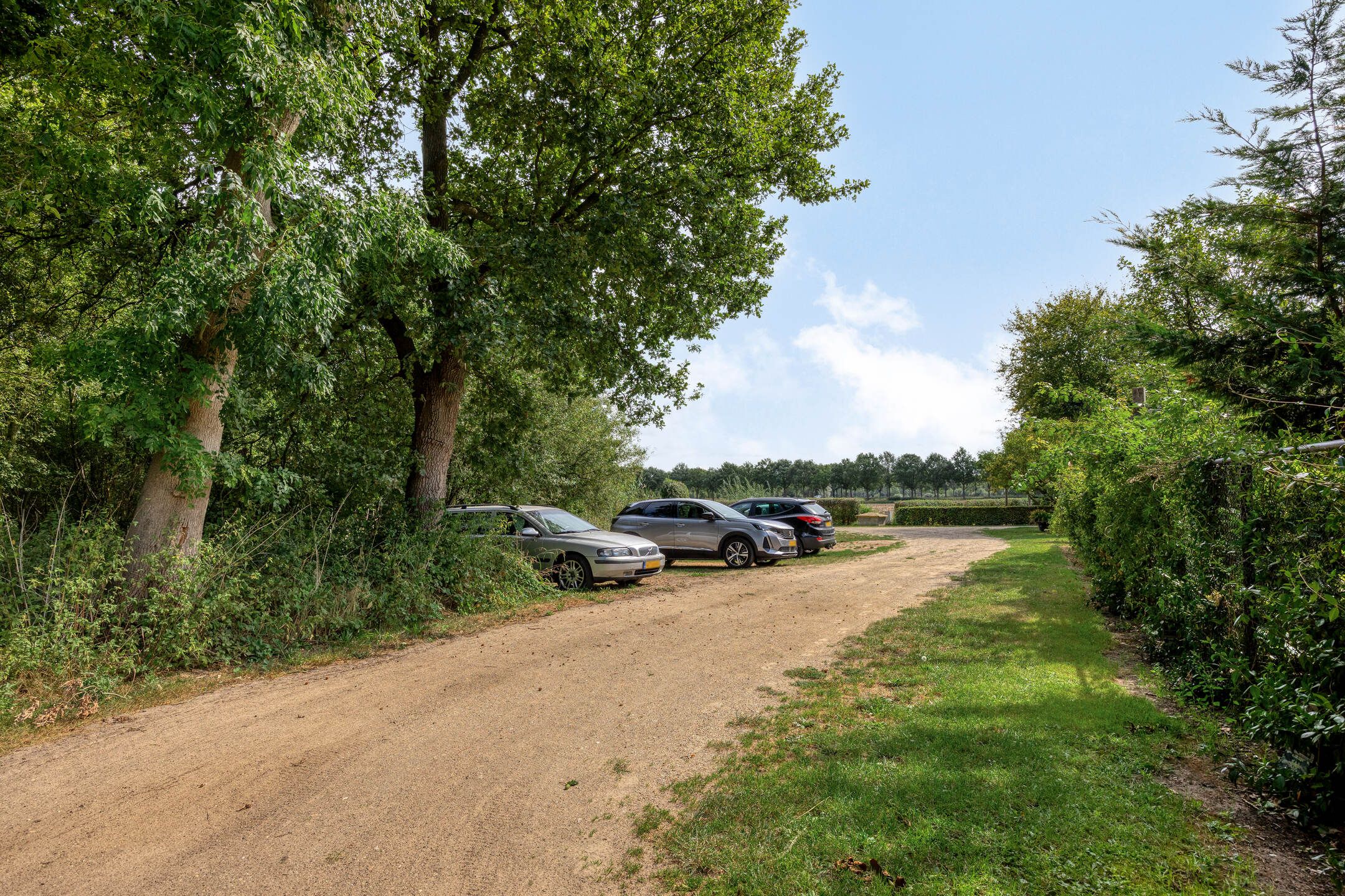 Photo 75 of Boltsebroek 1
