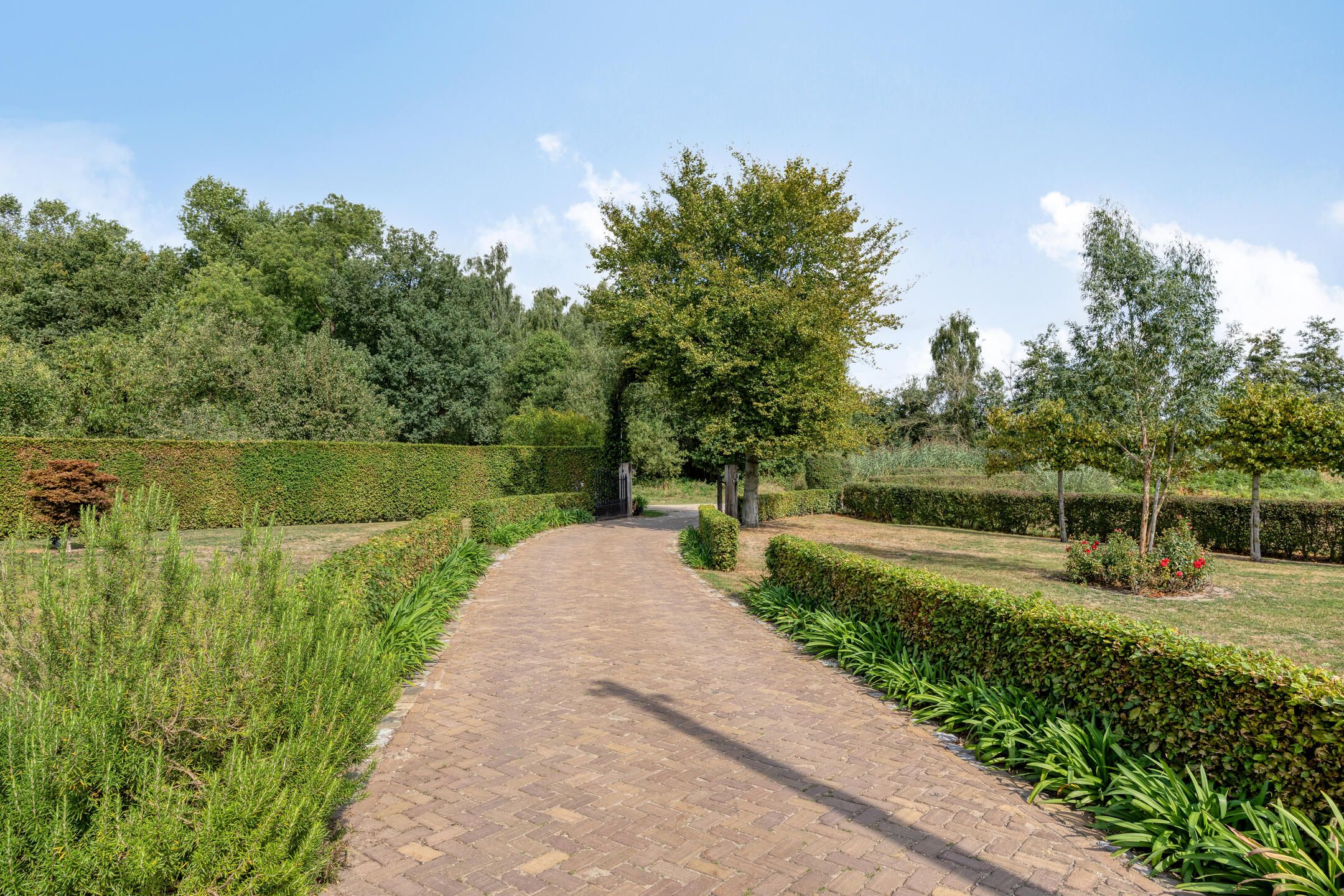 Photo 78 of Boltsebroek 1